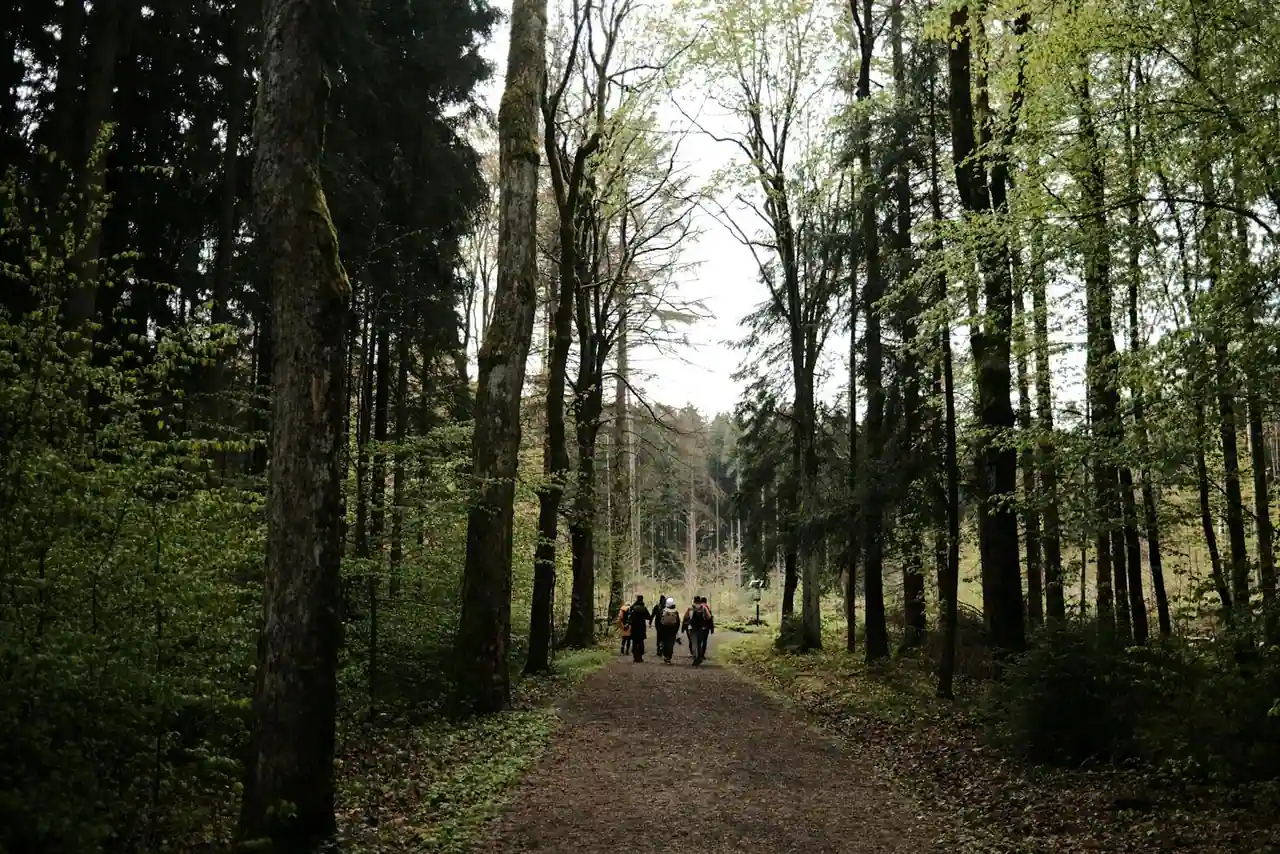 Sentier de promenade dans un domaine de château de la Loire en lumière douce, ambiance contemplation.