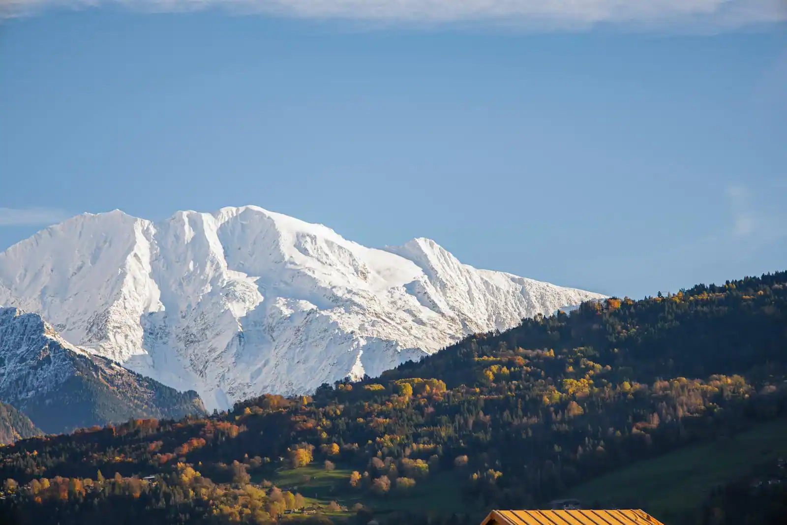 Massif du Mont-Blanc vu depuis la vallée de Chamonix en automne, mélèzes dorés au premier plan.