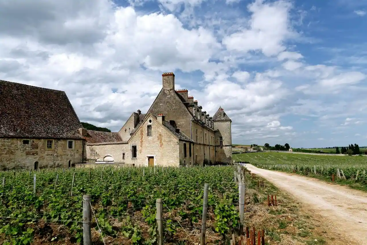 Vignoble de la Côte de Beaune en automne, vignes alignées sur coteau, village viticole au fond, lumière rasante.