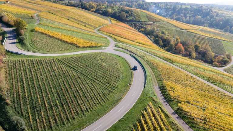 Alsace en automne en famille : forêts colorées, villages calmes, parcs et fêtes des vendanges