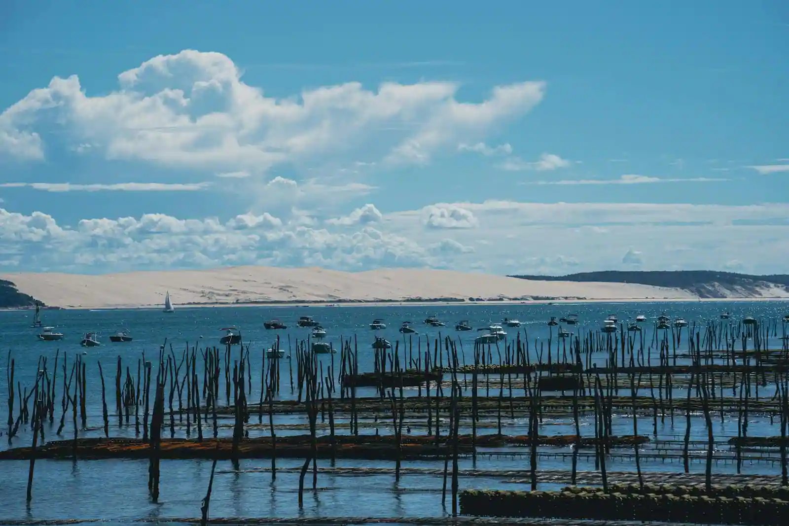 Vue panoramique du bassin d'Arcachon avec cabanes ostréicoles et pinasses au coucher du soleil