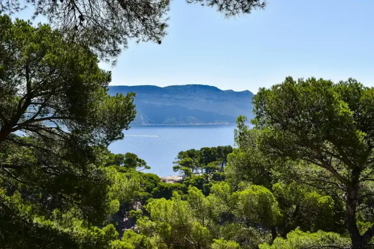 Camping Les Cigales : identifier le bon parmi les nombreux établissements