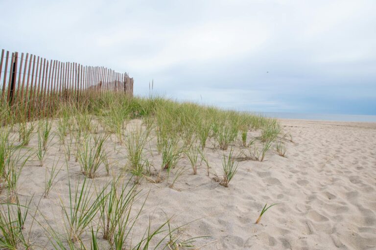 Plages sauvages des Landes : où aller hors foule, et à quelles conditions