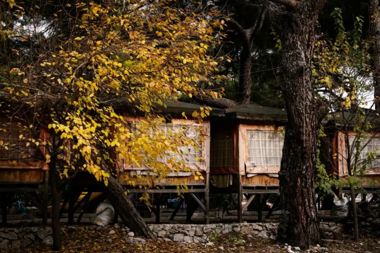 Cabane dans les arbres avec jacuzzi : bien choisir son séjour