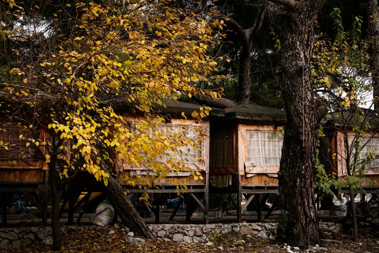 Cabane en bois perchée dans les arbres avec un bain à remous fumant sur la terrasse extérieure au crépuscule