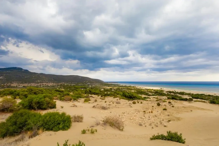 Camping nature à Sérignan : guide du littoral préservé