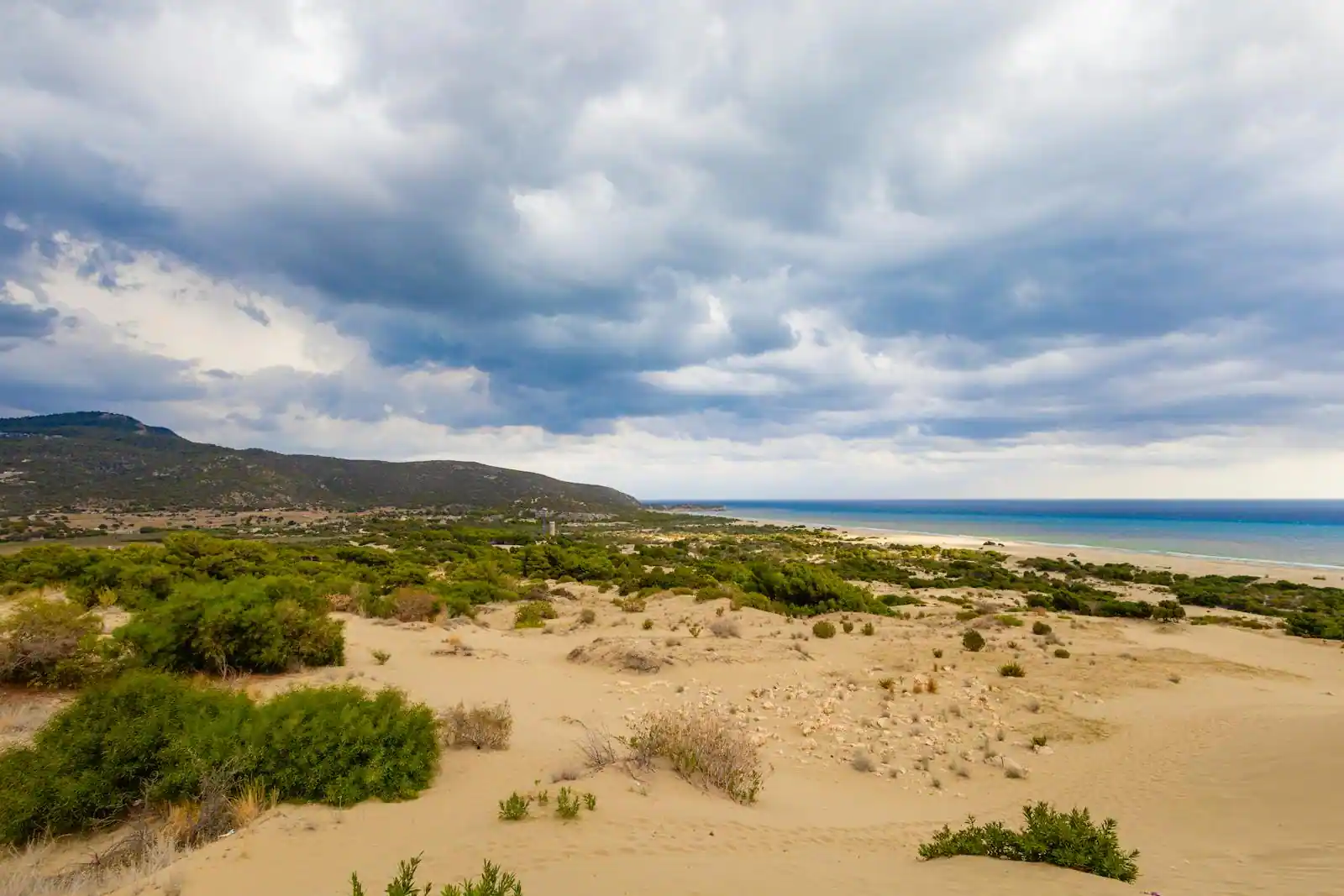 Dunes de sable couvertes de végétation basse, longue plage et mer en arrière-plan sur un littoral préservé