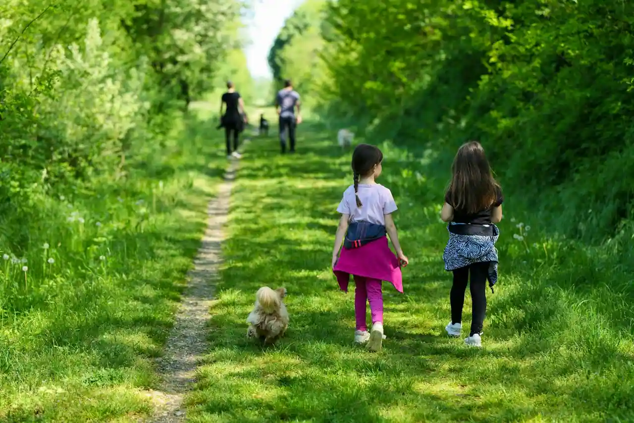 Famille avec deux enfants en balade sur un sentier verdoyant de campagne au printemps.