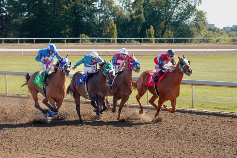 France Galop pro : l&rsquo;espace professionnel du galop