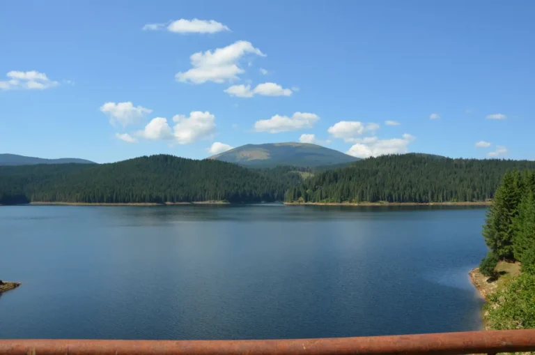 Location vacances dans les Vosges : le bon repère par saison