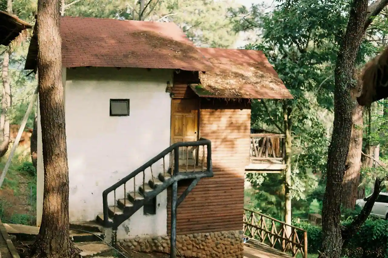 Cabane perchée en bois dans la forêt bretonne au lever du jour