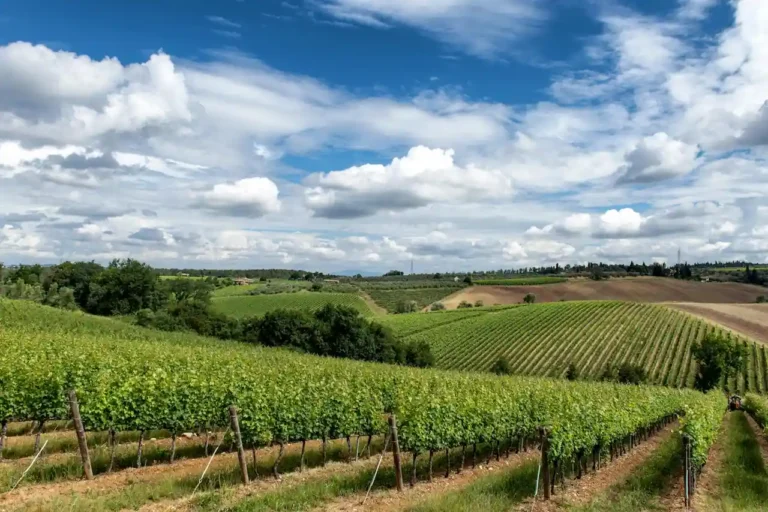 Promotions en Champagne : trouver les bons plans d&rsquo;un séjour