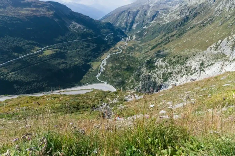 Road trip : définition, principes et comment le préparer