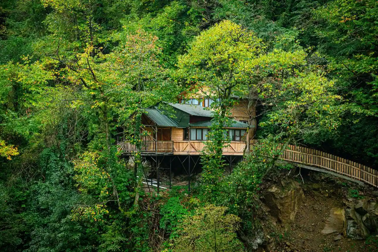 Cabane en bois perchée sur pilotis, reliée par une passerelle, au-dessus d'une forêt dense.