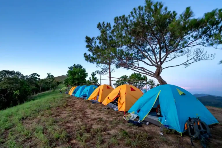 Camping nature en Dordogne : choisir sa zone et son séjour