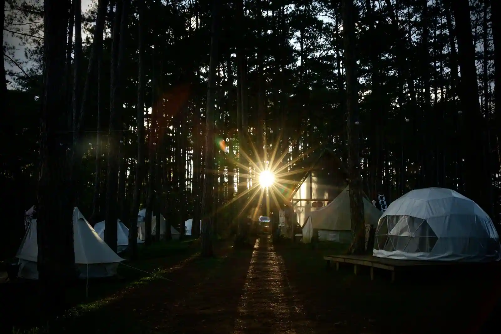 Site de glamping dans une forêt de pins au coucher du soleil : tentes toilées et dôme géodésique.