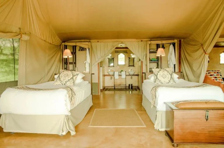 Glamping : traduction, signification et origine du mot
