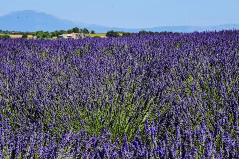 Météo en France : climats, saisons et quand partir