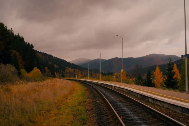 Train Dreams : de quoi parle le film et où le voir