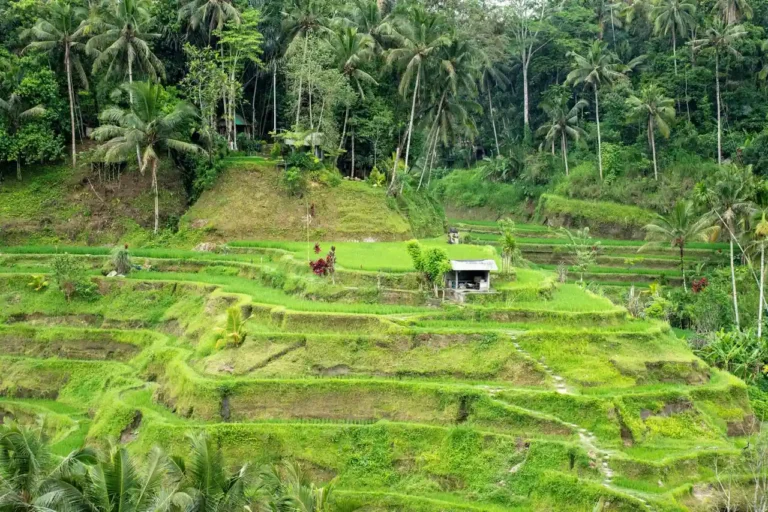 Voyage en famille à Bali : choisir sa base et préparer le séjour