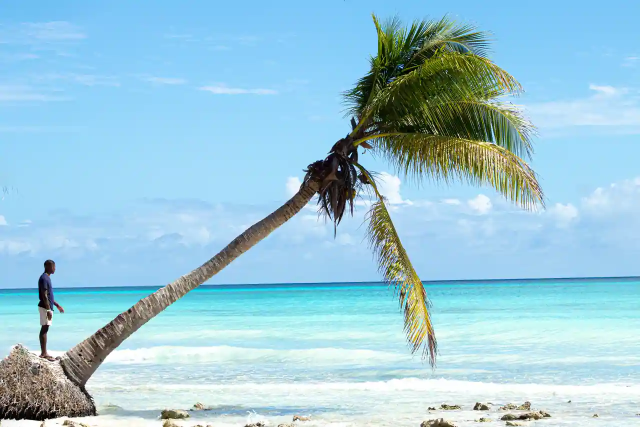 Cocotier penché au-dessus d’une eau turquoise sur une plage tropicale, une personne au premier plan